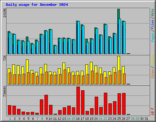 Daily usage for December 2024