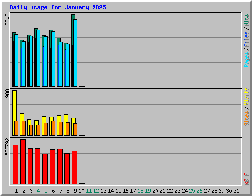 Daily usage for January 2025