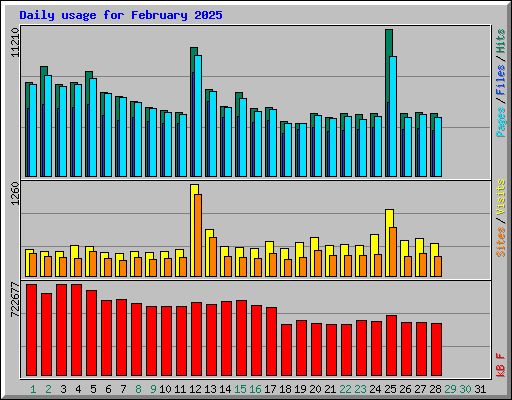 Daily usage for February 2025