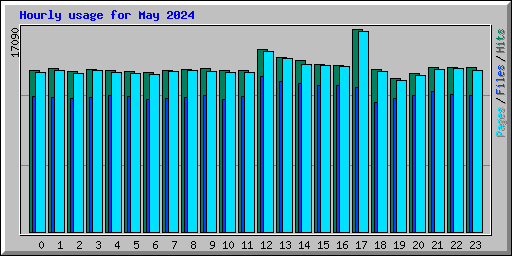 Hourly usage for May 2024