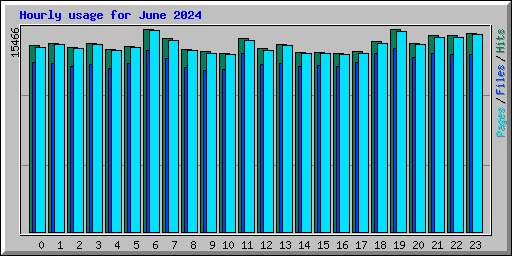 Hourly usage for June 2024