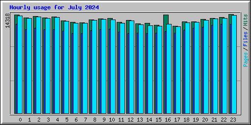 Hourly usage for July 2024