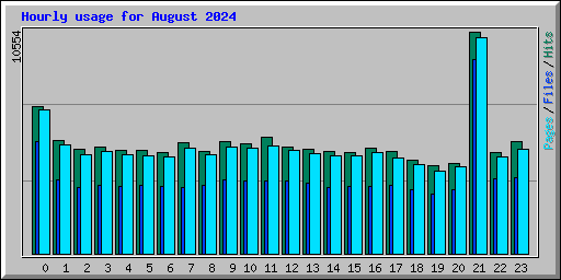 Hourly usage for August 2024