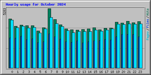 Hourly usage for October 2024