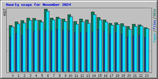 Hourly usage for November 2024