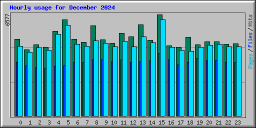 Hourly usage for December 2024