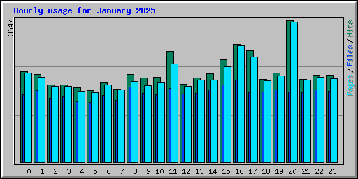 Hourly usage for January 2025