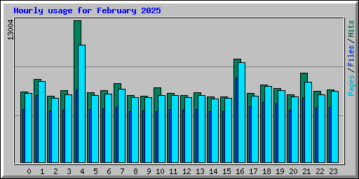 Hourly usage for February 2025