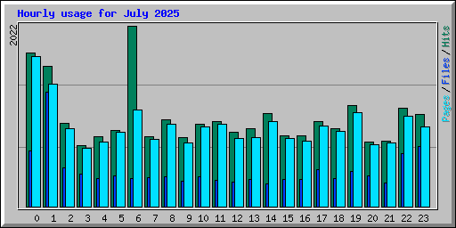 Hourly usage for July 2025