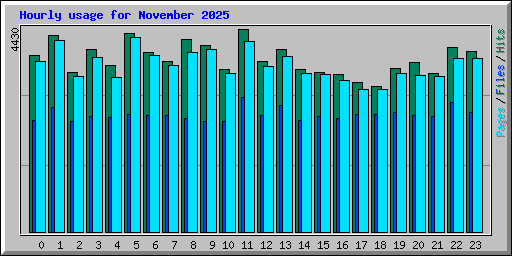 Hourly usage for November 2025