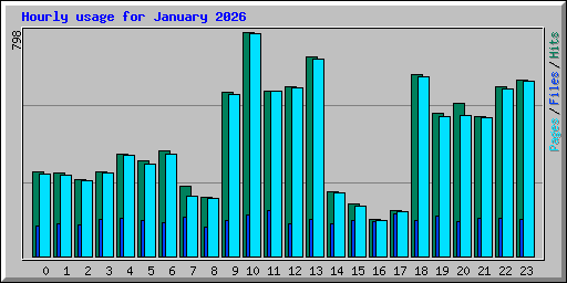 Hourly usage for January 2026