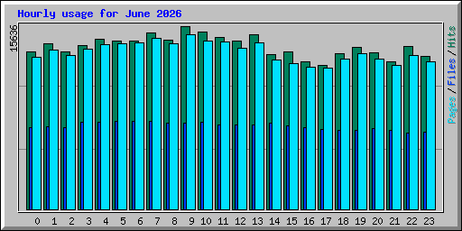 Hourly usage for June 2026