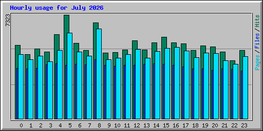 Hourly usage for July 2026