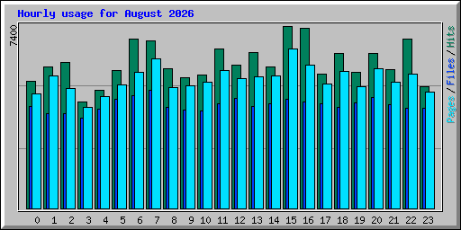 Hourly usage for August 2026